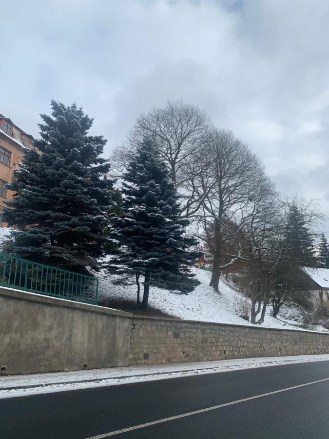 Apartman V Krusnych Horach-Free Parking Jáchymov Exteriör bild