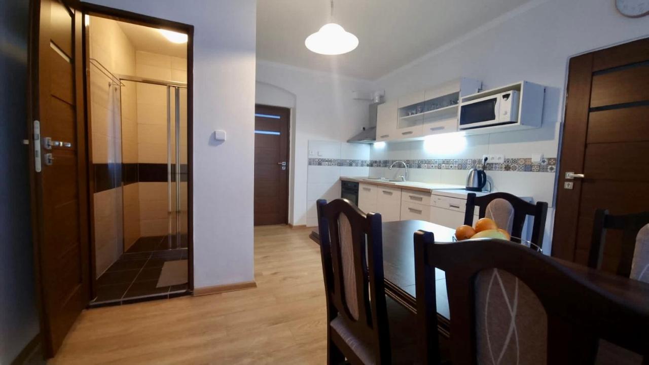 Apartman V Krusnych Horach-Free Parking Jáchymov Exteriör bild